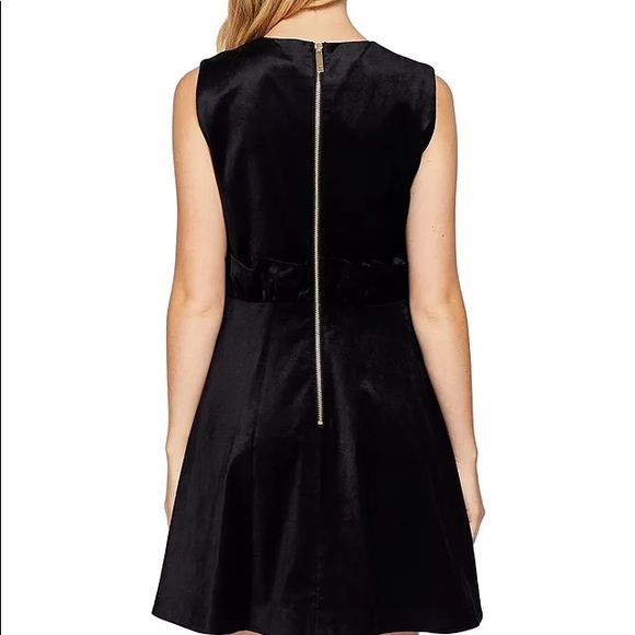 Ted Baker London Queen Bee Ruffle Waist Dress - Picture 5 of 5